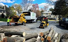 Reliable Seven Points, TX  Tree Services Solutions